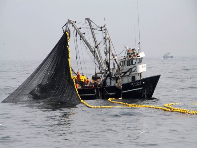 Agentes de la Guardia Civil y de la Interpol irrumpieron el lunes en las oficinas de Ribeira Vidal Armadores en A Coruña
