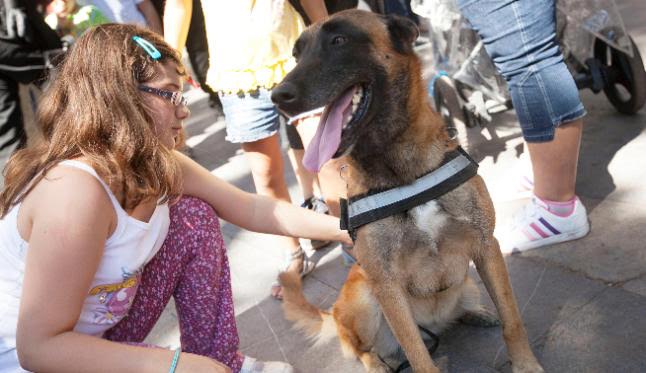 Santa Cruz celebra este sábado una nueva edición del Día de los Animales