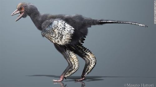 El primer ancestro de las aves hallado en China mide 51 centímetros