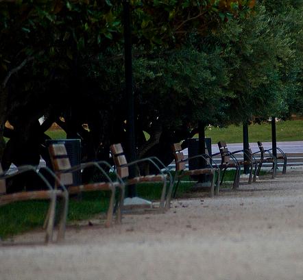 Asociación Nacional de Agentes Forestales de España pide al Ayuntamiento que mantenga la Unidad de Montes