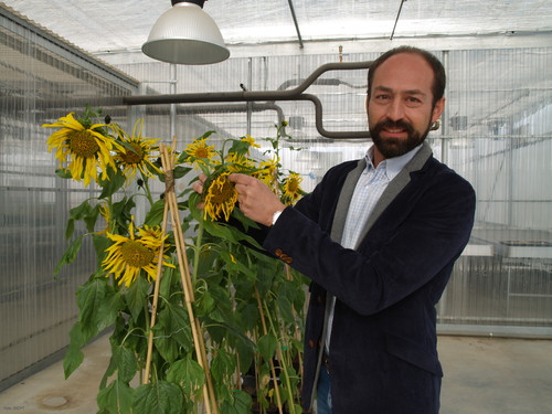 El óxido nítrico es ‘determinante’ para la germinación de las semillas
