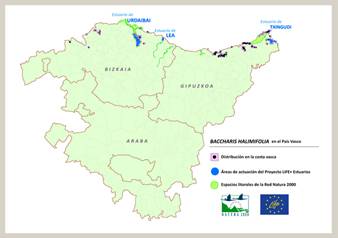 El proyecto LIFE “Regeneración de estuarios vascos” de Euskadi