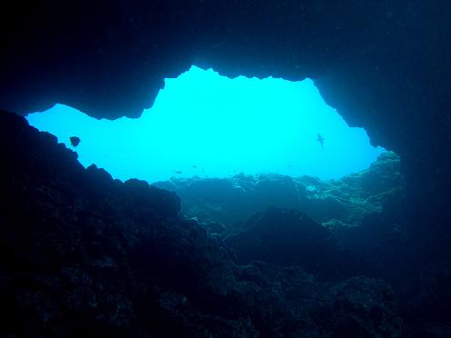 Medio Ambiente y las Cofradías alcanzan un acuerdo sobre la actividad pesquera profesional en la Reserva Marina de la isla de La Palma