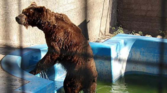 Prohibidos los zoológicos y circos con animales en la Rioja