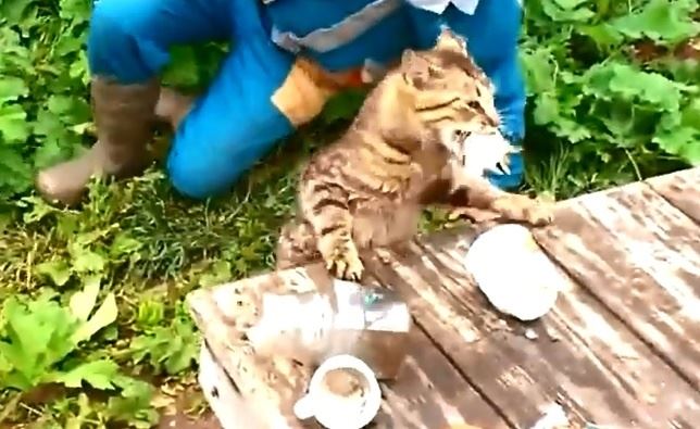 El pescador ‘pescado’ (Vea VIDEO)