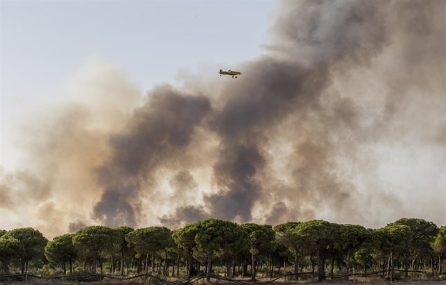 Conoce los grandes incendios que calcinaron España