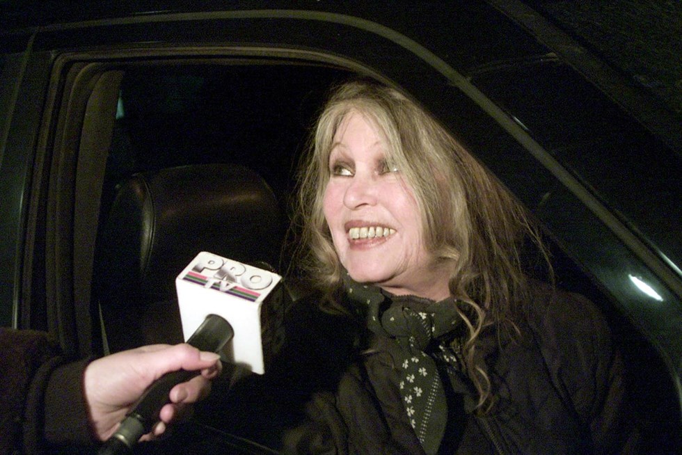 Brigitte Bardot escribió al Rey Felipe VI para que intermediará con el maltrato a los galgos en España