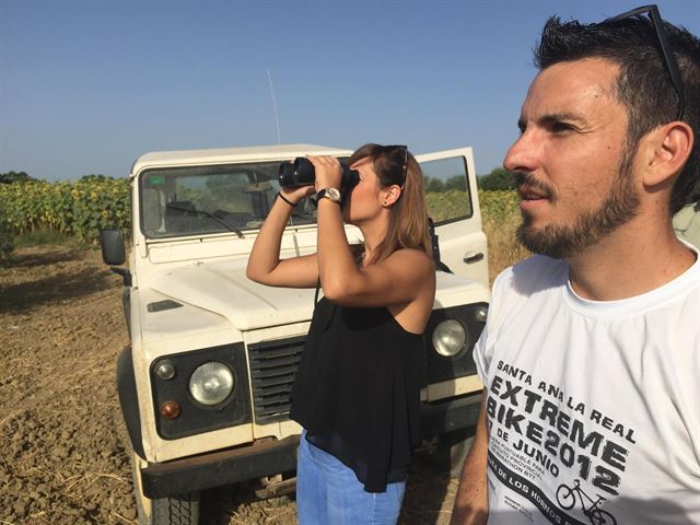 El retraso de las cosechas en Huelva salva a más de 80 pollos de aguilucho cenizo