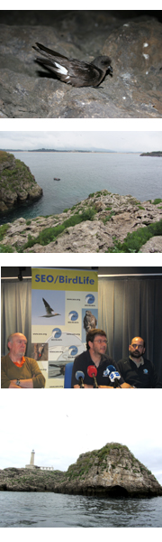 SEO/BirdLife presenta en Santander un nuevo proyecto para la conservación de las aves marinas en el Atlántico europeo (07/06/11)