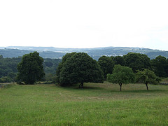Renta total social y capital de un ecosistema natural