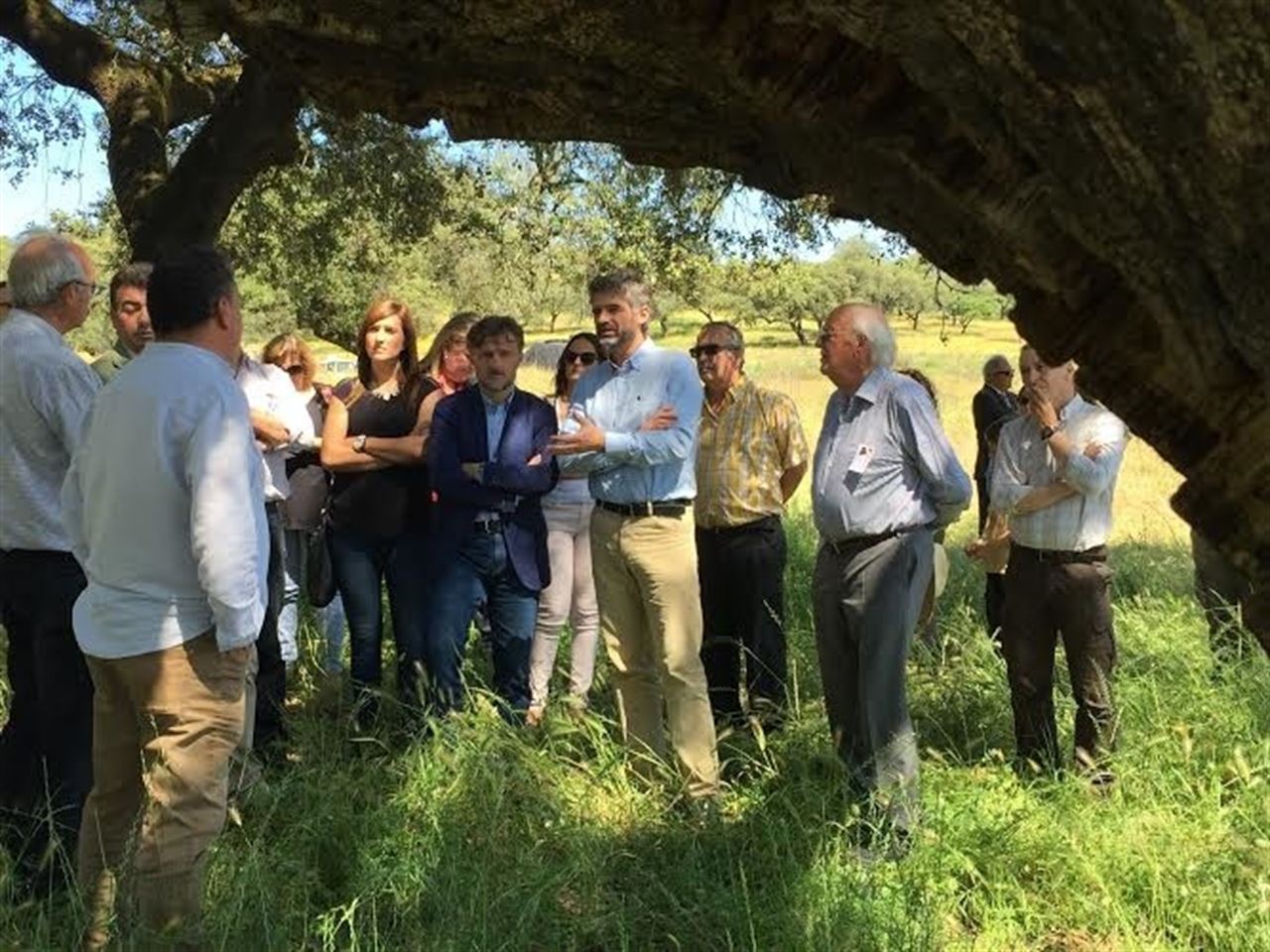 La dehesa andaluza y el fomento de la biodiversidad