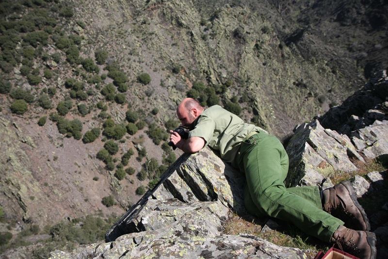 ¡Gracias guardabosques!