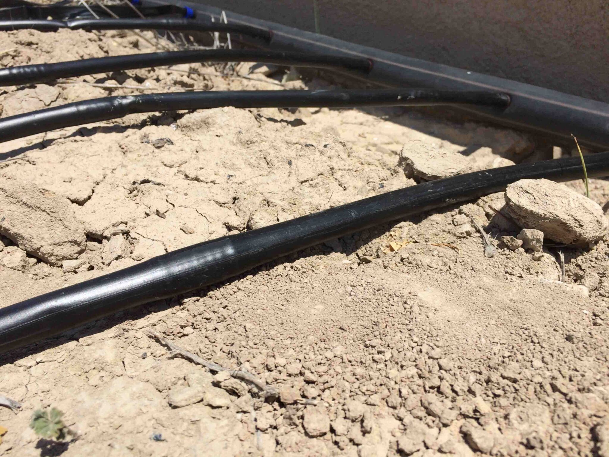 Producción de sistemas de micro-irrigación compostables