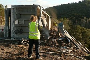 Ecologistas recuerda que este año se han registrado dos incendios y dos accidentes en el transporte en Nerva