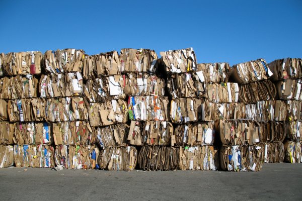 En el 2010 cada español recicló 21