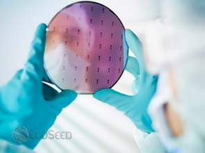 Chinese solar companies trim Q2 revenues