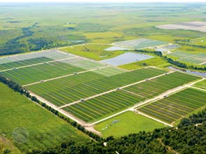 Ohio prepares for largest solar PV facility in the U.S.