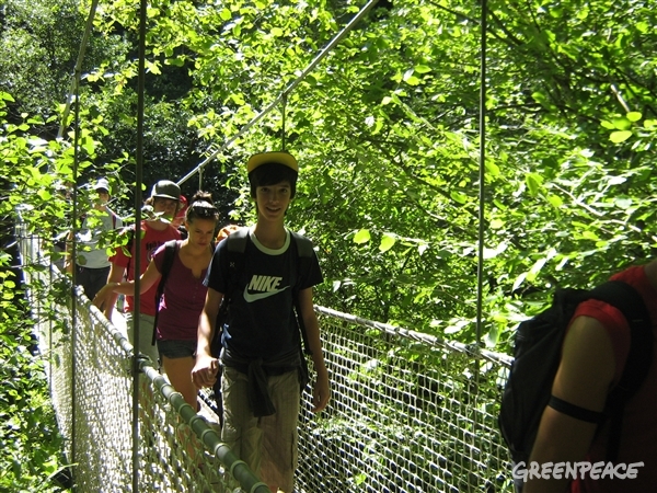 Por qué venir a los campamentos de Greenpeace