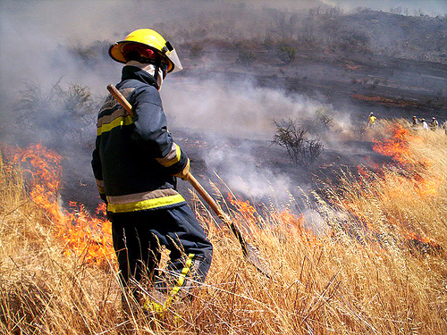 El año 2009 cierra con 110.783 hectáreas quemadas
