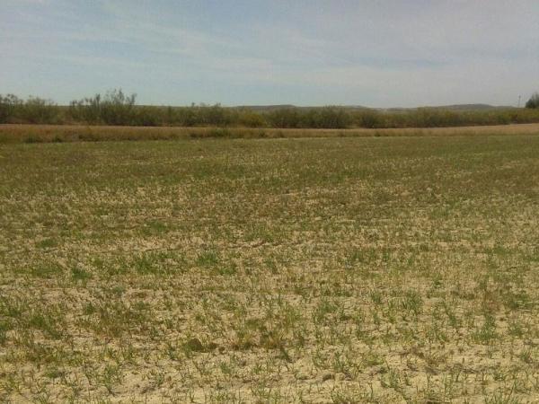 2017 es el año más seco del siglo y el quinto con menos agua en los embalses desde 1990 en esta misma semana