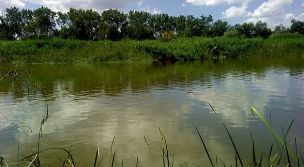Plataforma en defensa del Tajo y el Alberche recurrirá ante los tribunales el Plan de Cuenca