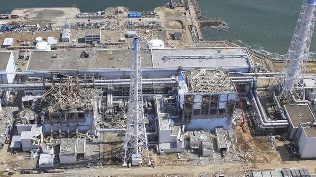 La ONU investigará el impacto de Fukushima en el medioambiente