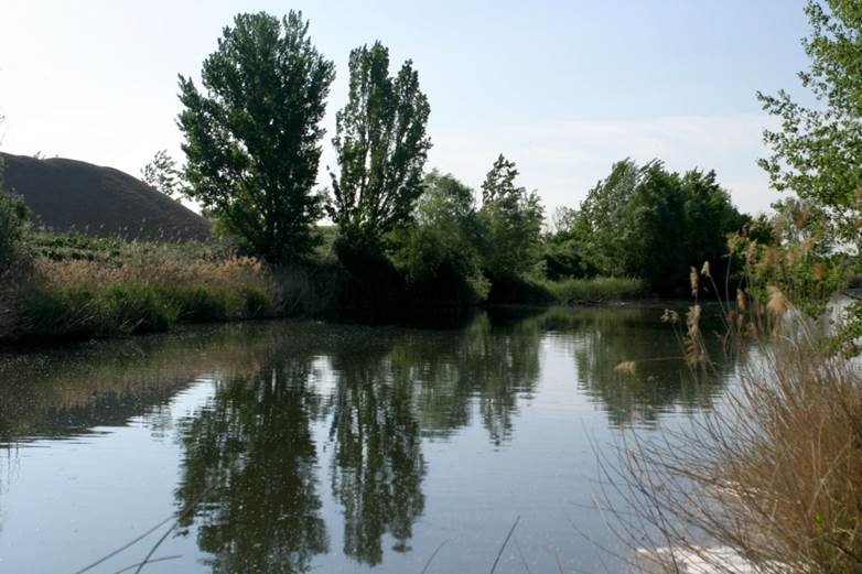 Municipios de ríos Jarama y Henares exigen mayor protección para sus aguas y biodiversidad