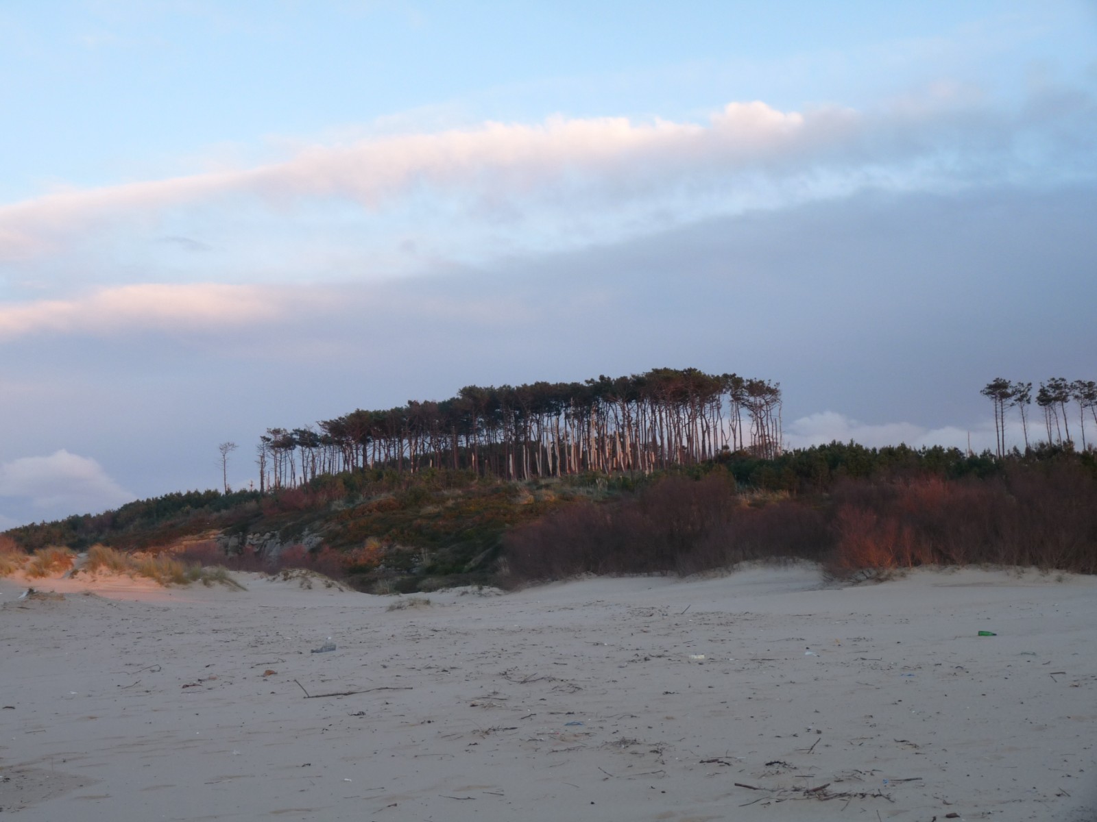 La FNYH llevará a cabo este domingo la iniciativa Descubriendo el Monte de Somo: algo más que arena