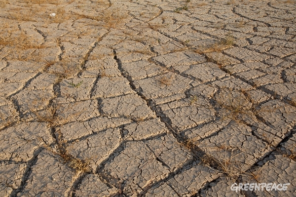 Greenpeace denuncia cómo la actual sequía se ve agravada por la mala gestión del agua y el cambio climático