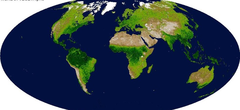 Quieres ver en ‘VIDEO’ el desastre de la Tierra en 2100