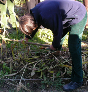 OPINIÓN Ángeles Parra