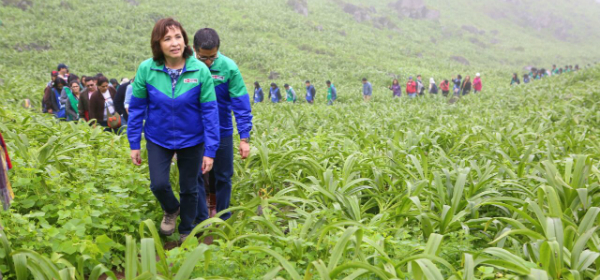 Perú. Jóvenes voluntarios del Ministerio del Ambiente limpian acceso a Lomas de Paraíso en Villa María del Triunfo