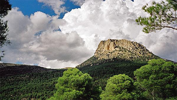 NO a la Reserva de Caza de Sierra Espuña