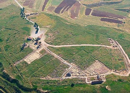 La construcción del polígono Industrial Soria II causará un daño irreversible al valioso Soto de Garray