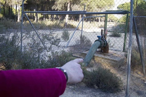 Cierran pozos ilegales en la marisma de Aznalcázar