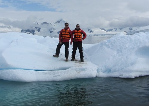 Todos los secretos del ‘clavel antártico’