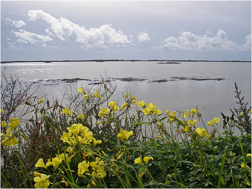 Medio Ambiente apuesta por la participación ciudadana en la planificación hidrológica de las cuencas internas andaluzas