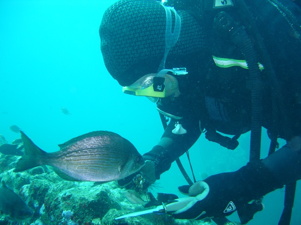 “Es muy barato contaminar”