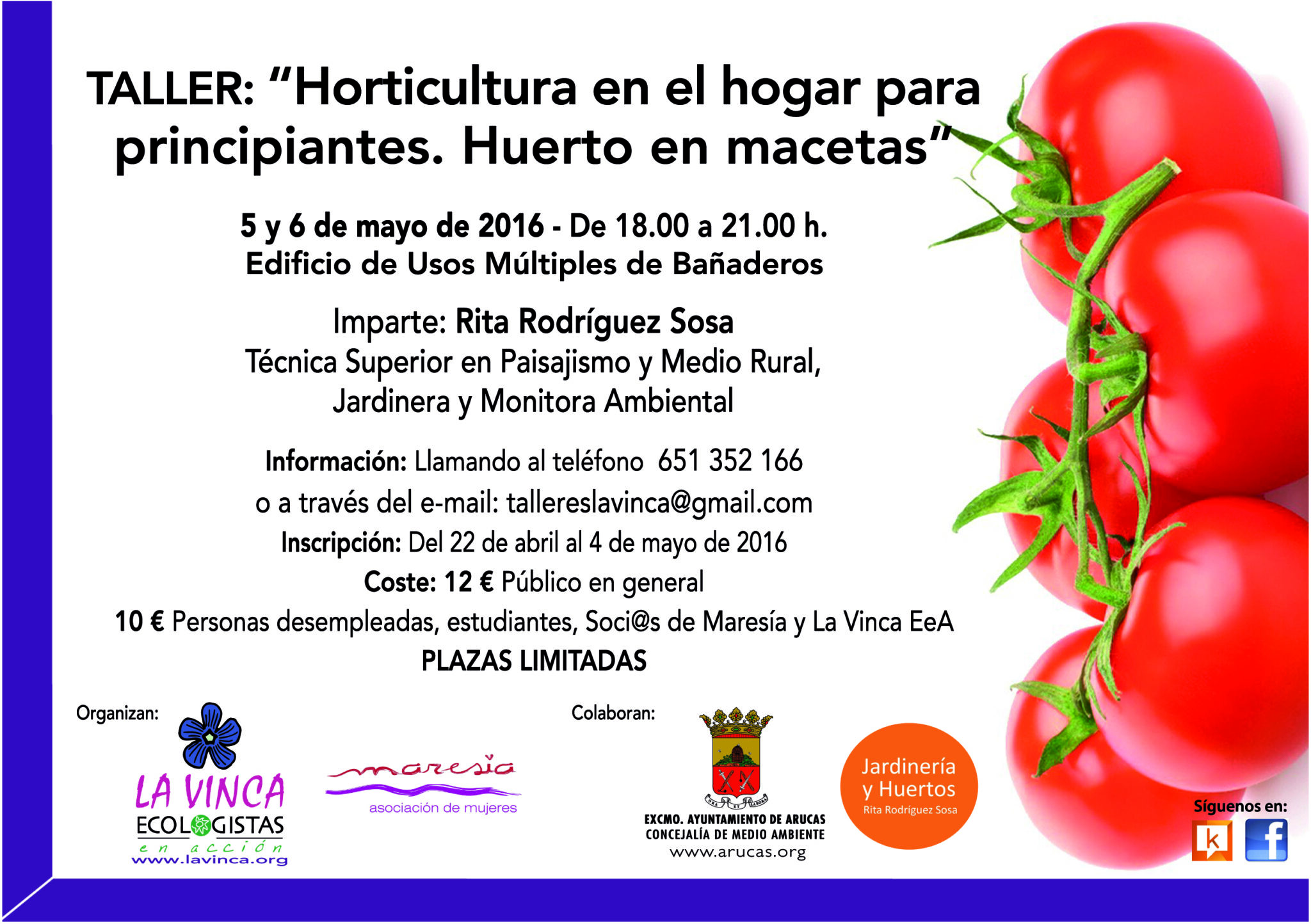 Taller de Horticultura en el Hogar para principiantes. Huerto en macetas (Bañaderos