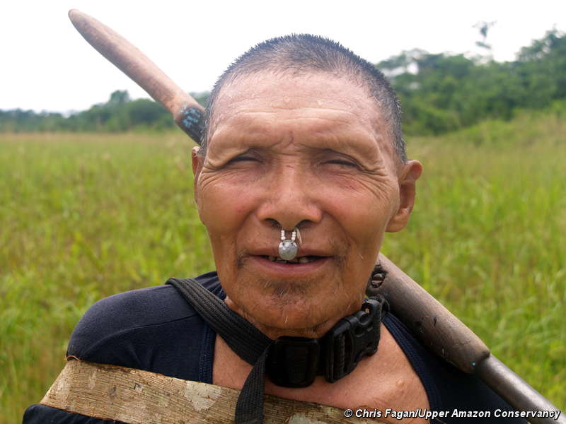 Wikileaks: Perú admite que los certificados de maderas fueron falsificados