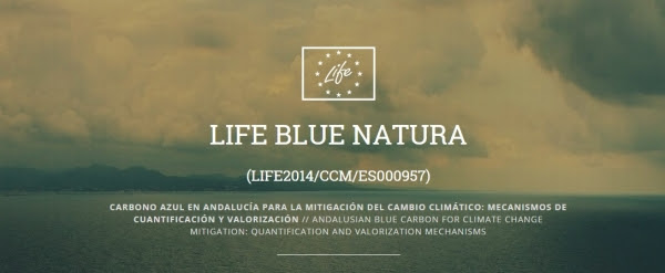 Campaña POSIMED 2015