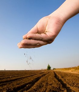 Sembrando valores y respeto por la naturaleza