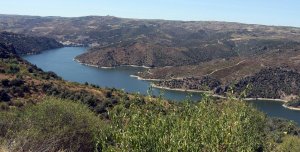 Zasnet convoca un concurso para declarar el Duero fronterizo como Reserva de la Biosfera ante la Unesco