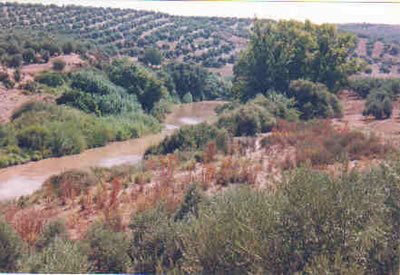 Jaén cuenta con 70 kilómetros de vías verdes tras inaugurar la del Guadalimar