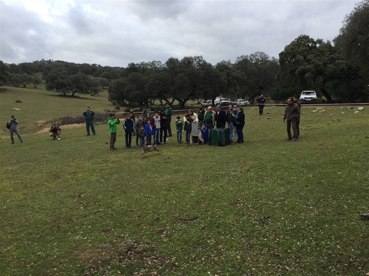 Liberadas dos hembras de lince ibérico en el área del río Guarrizas
