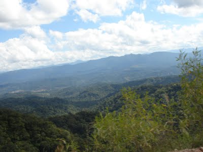 YPFB restaura las áreas contaminadas en el parque nacional Aguaragüe