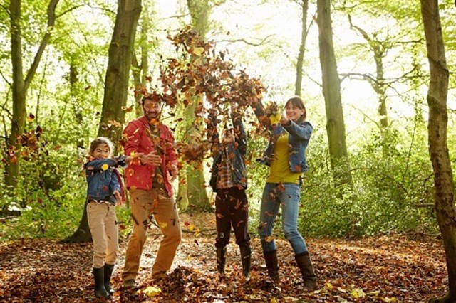 Los secretos para un otoño repleto de salud