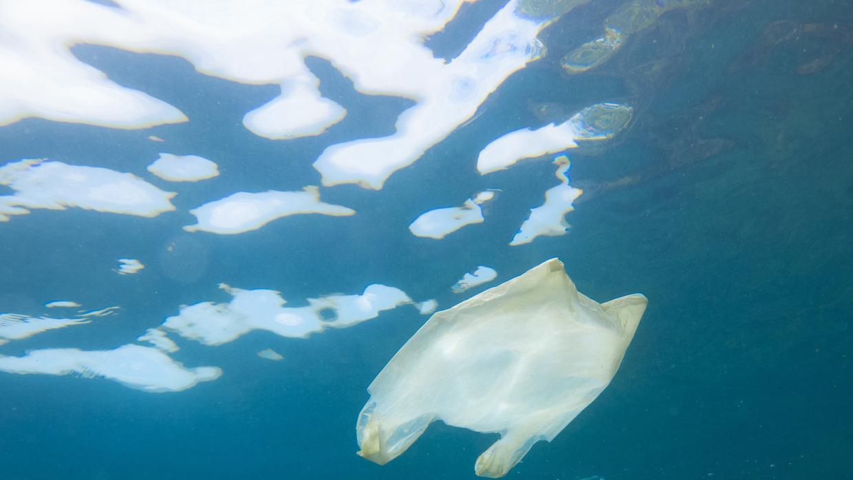 La guerra de Chile contra las bolsas plásticas salvará millones de especies marinas