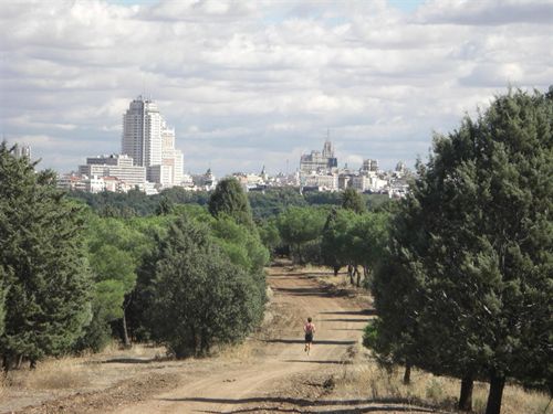 Plataforma Salvemos la Casa de Campo denuncia que los niveles de ruido en el Parque de Atracciones vulneran la normativa