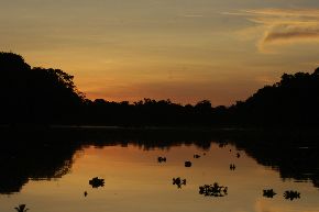 Loreto contará este año con 10 millones de hectáreas de áreas naturales protegidas